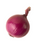 Onion